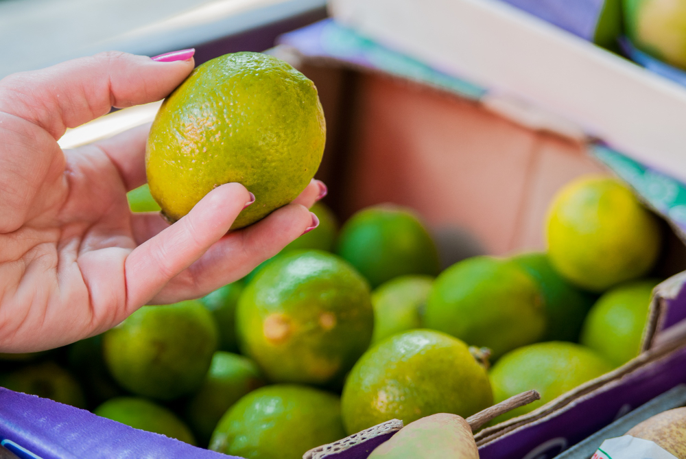 Sourcing Fresh Lemons from India to Dubai Markets