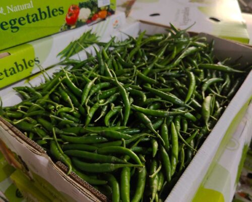 Supplying Farm-Fresh Green Chilly from India to Dubai