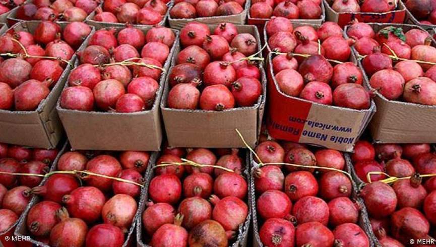 Delivering Premium Pomegranates from India to Dubai